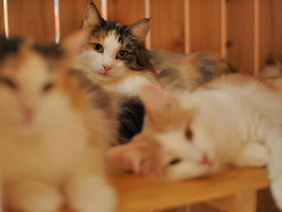 081127-4.jpg