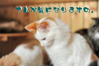 081213-1.jpg