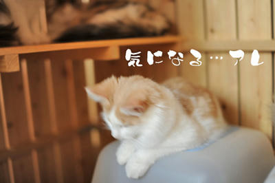 081213-2.jpg
