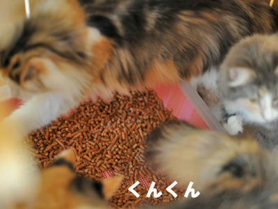 081214-1.jpg