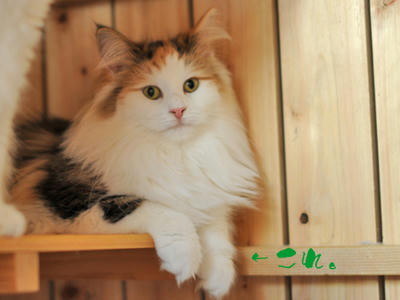 081221-1.jpg