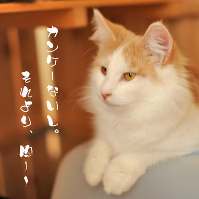 081225-1.jpg