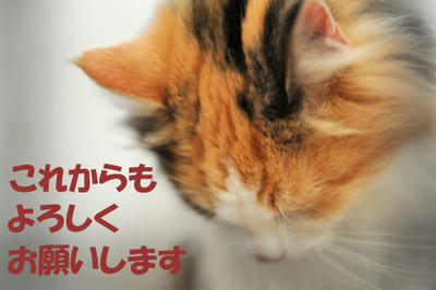 090108-1.jpg