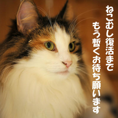 090130-1.jpg