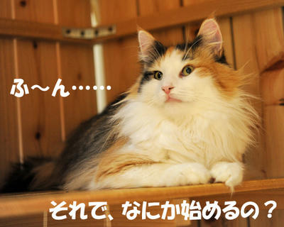 090122-1.jpg