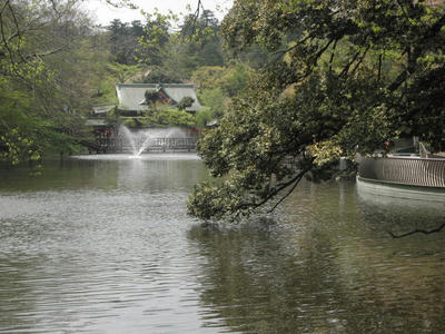 井の頭公園