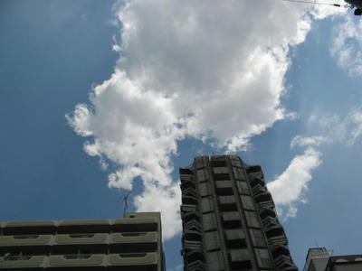 歌舞伎町の空