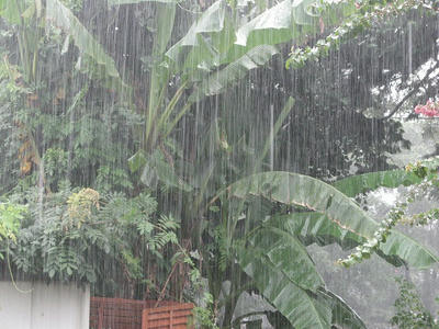 大雨