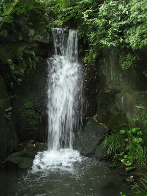 椿山荘の滝