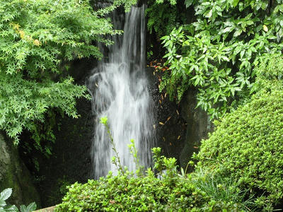 滝