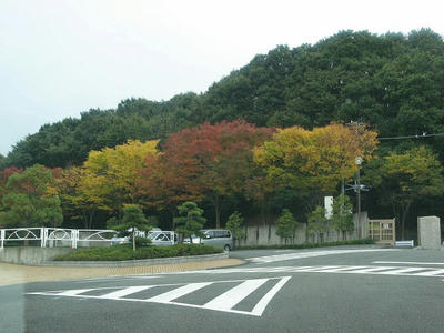 紅葉