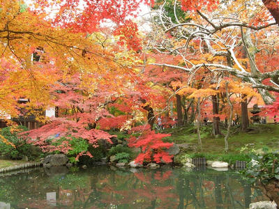 南禅寺の紅葉