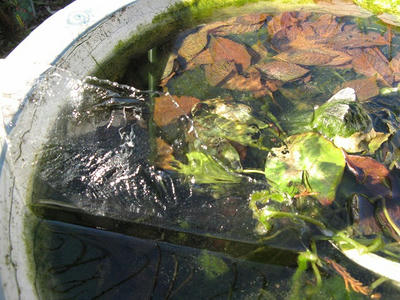氷