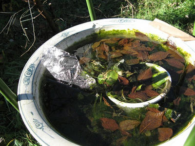 氷