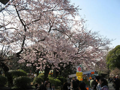 上野公園