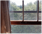 window.gif