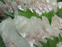 nodoguro-sashimi.jpg