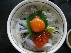 yobuko1.jpg