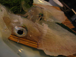 yobuko3.jpg