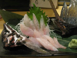 sapporo-hakkaku.jpg