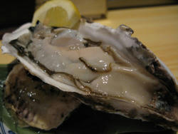 sapporo-kaki.jpg