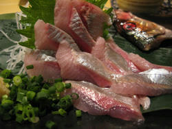 sapporo-nishin.jpg