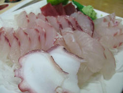 sashimi.jpg