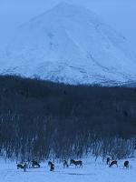IMG_3092.jpg