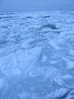 IMG_3136.jpg