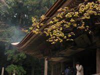 murouji-kondou.jpg