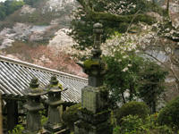 hasedera-tourou.jpg
