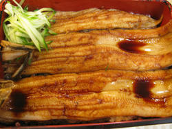 anago.jpg