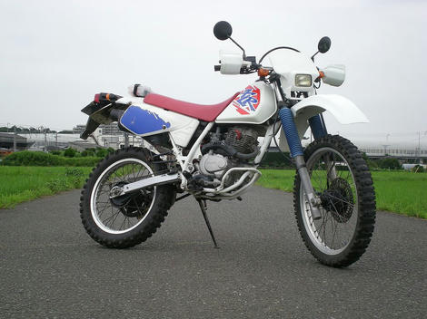 auction1.l.jpg