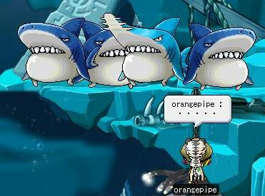 サメ集団・・・・・・