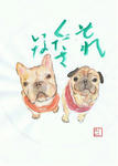 犬１
