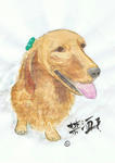犬２