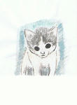 ねこ３