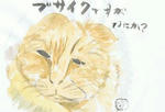 ねこ４