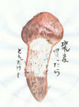 まつたけ