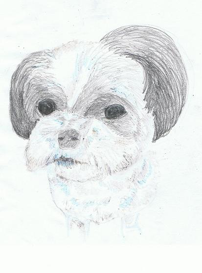 犬４