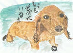 犬５