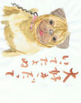 犬６