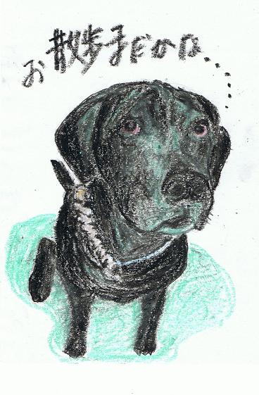 犬７