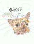 犬15