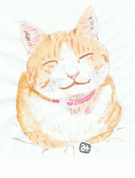 猫3