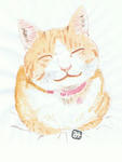 猫3