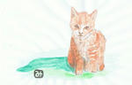 ねこ６
