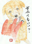 犬26