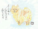 犬27