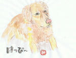 犬28